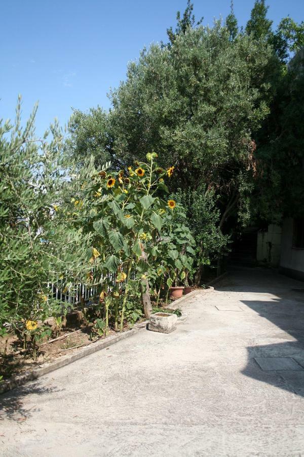Sunflower สปลิท ภายนอก รูปภาพ